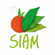 Siam Meknes Marokko 2026